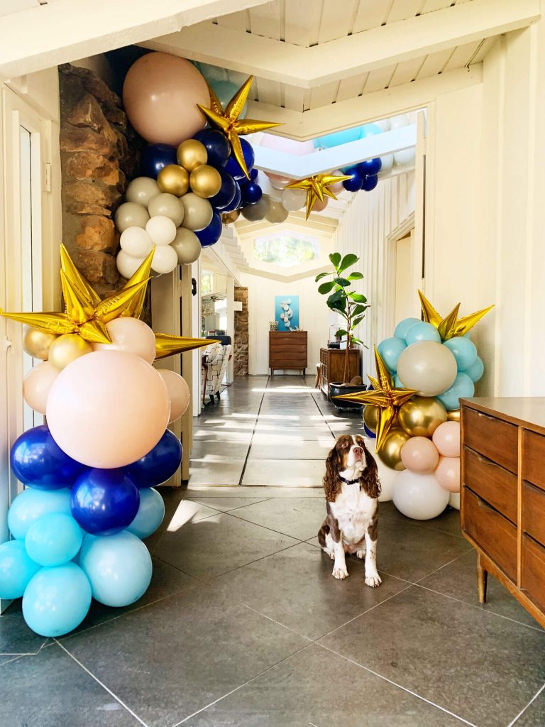 Balloon Garlands with Dog by Just Peachy in Little Rock, Arkansas